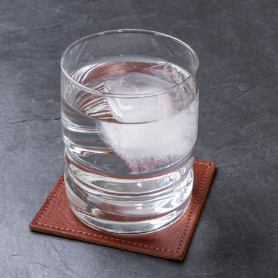 Premium Leather Coaster Set